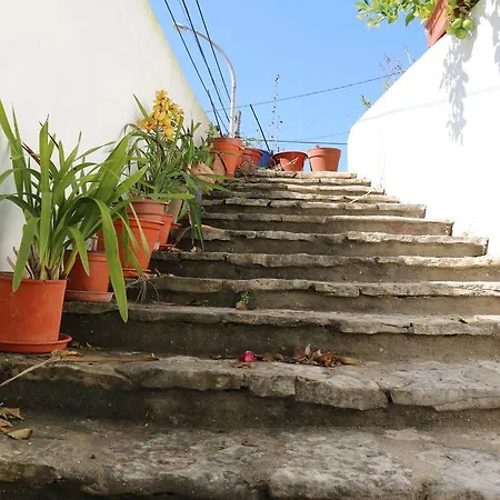 Semesterbostad Casa Em Sao Martinho São Martinho do Porto